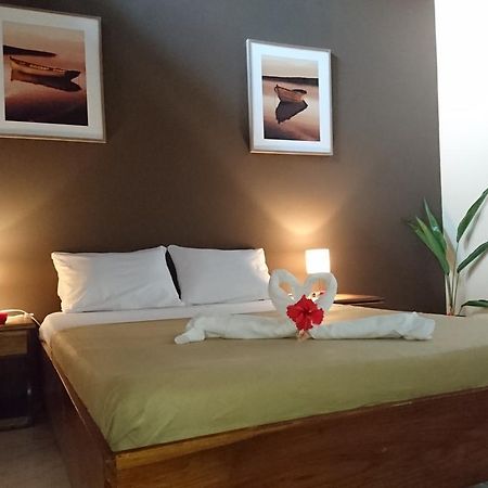 Morpheus Exotica Lodge Puerto Viejo de Talamanca Zewnętrze zdjęcie