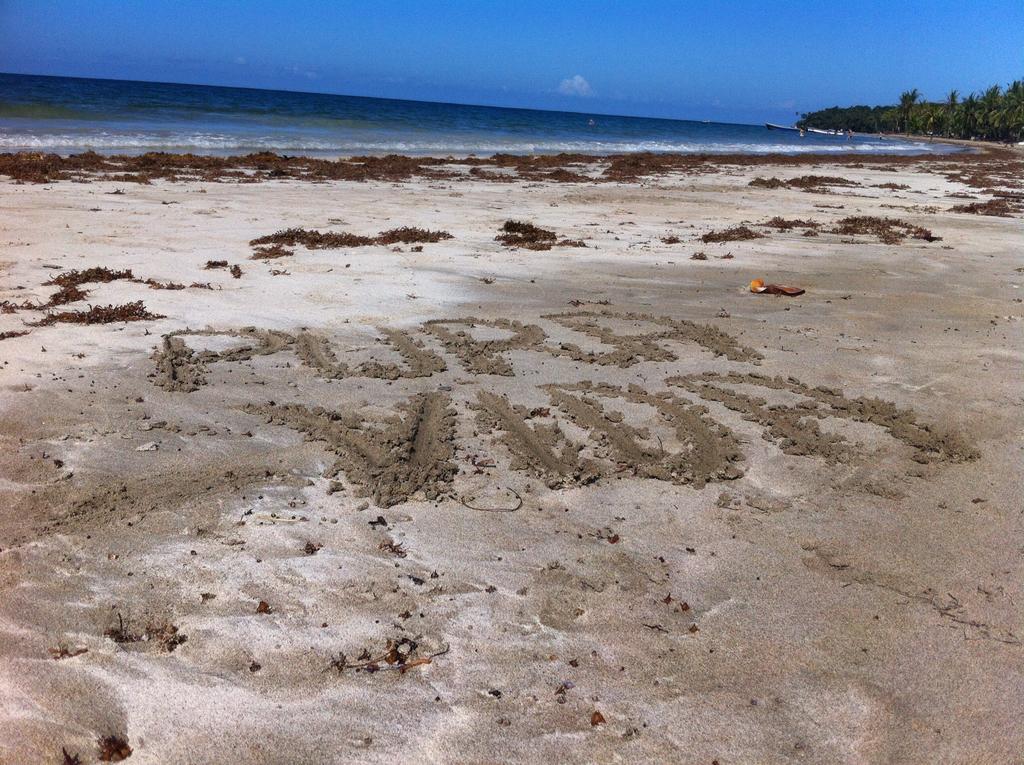 Morpheus Exotica Lodge Puerto Viejo de Talamanca Zewnętrze zdjęcie