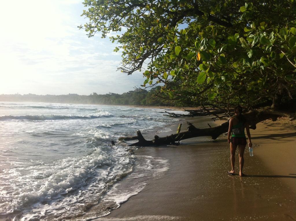Morpheus Exotica Lodge Puerto Viejo de Talamanca Zewnętrze zdjęcie
