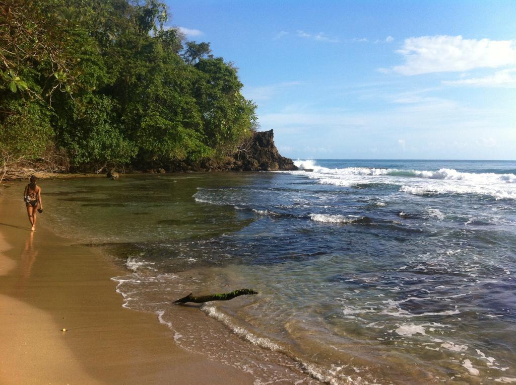 Morpheus Exotica Lodge Puerto Viejo de Talamanca Zewnętrze zdjęcie