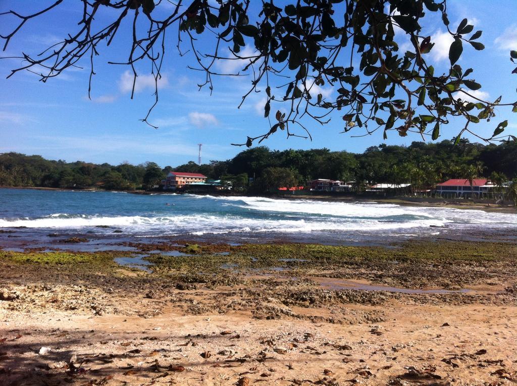 Morpheus Exotica Lodge Puerto Viejo de Talamanca Zewnętrze zdjęcie