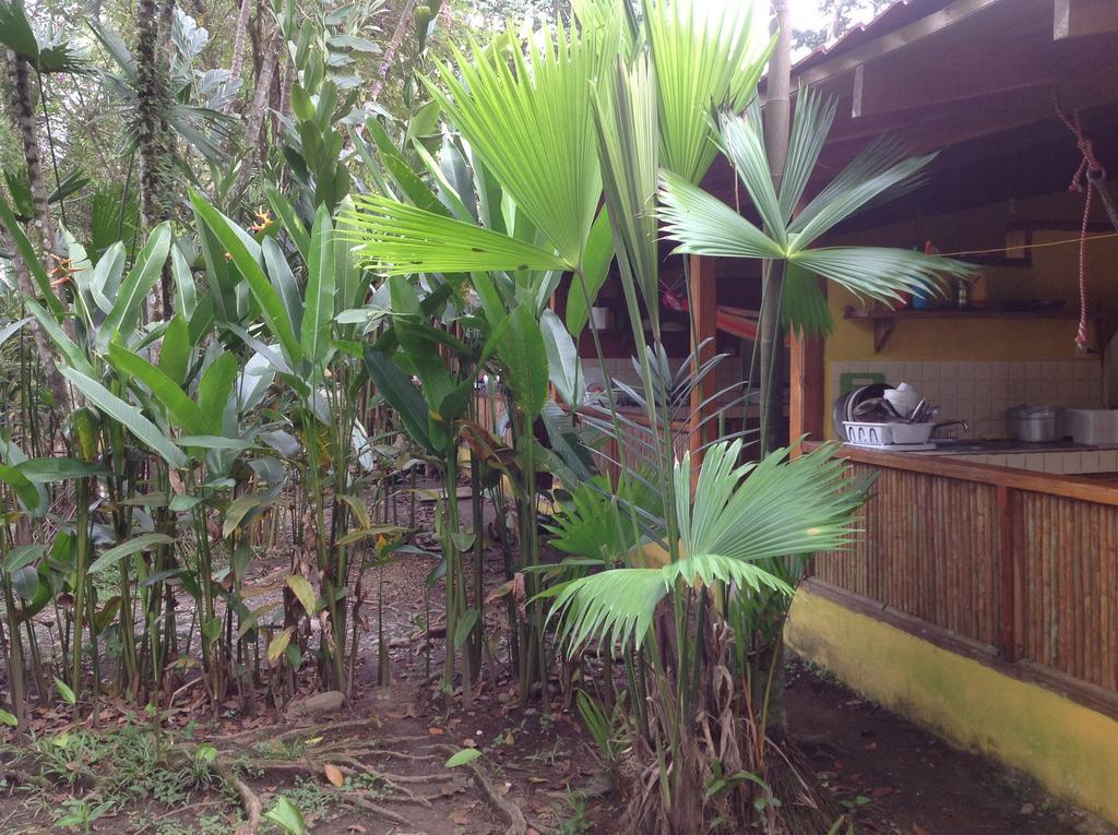 Morpheus Exotica Lodge Puerto Viejo de Talamanca Pokój zdjęcie