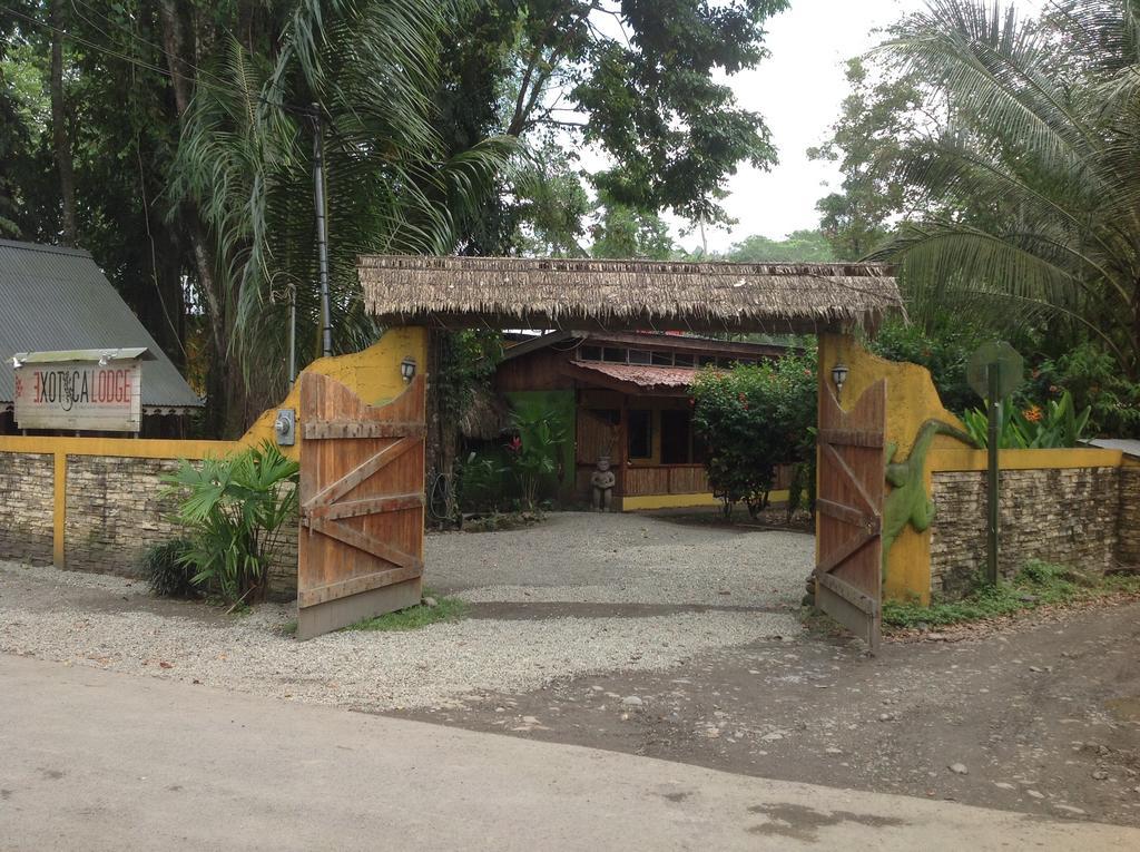 Morpheus Exotica Lodge Puerto Viejo de Talamanca Zewnętrze zdjęcie