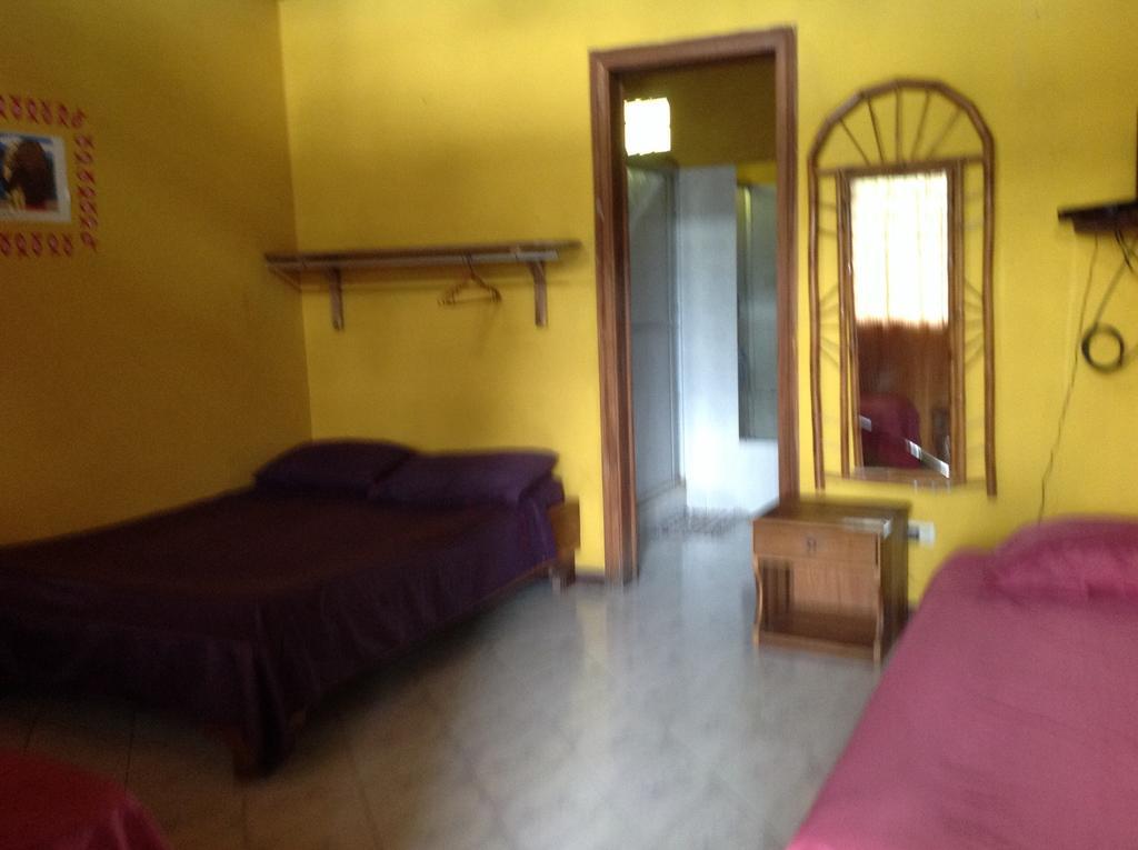 Morpheus Exotica Lodge Puerto Viejo de Talamanca Pokój zdjęcie