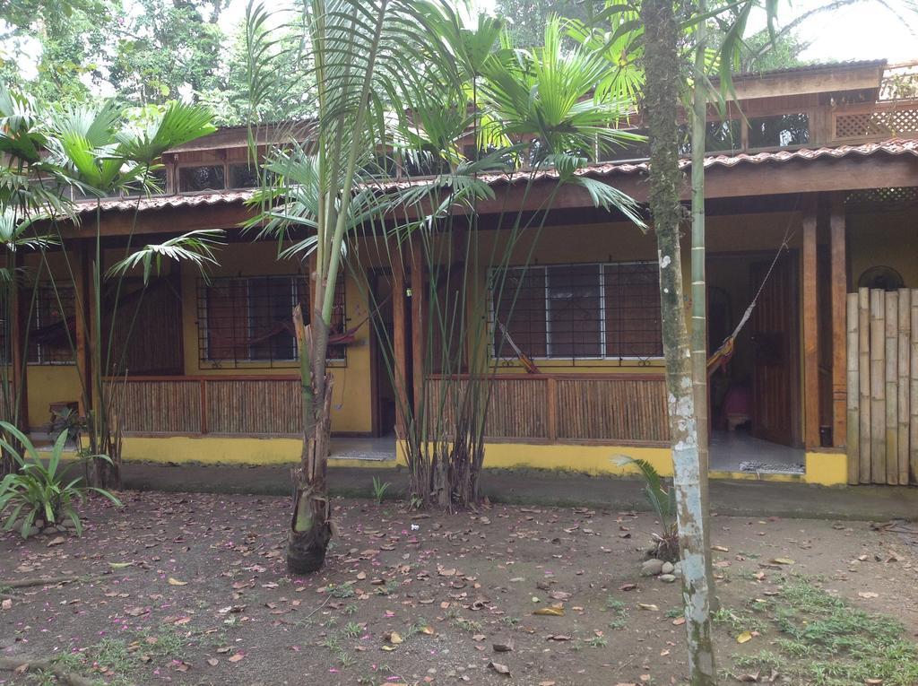 Morpheus Exotica Lodge Puerto Viejo de Talamanca Zewnętrze zdjęcie
