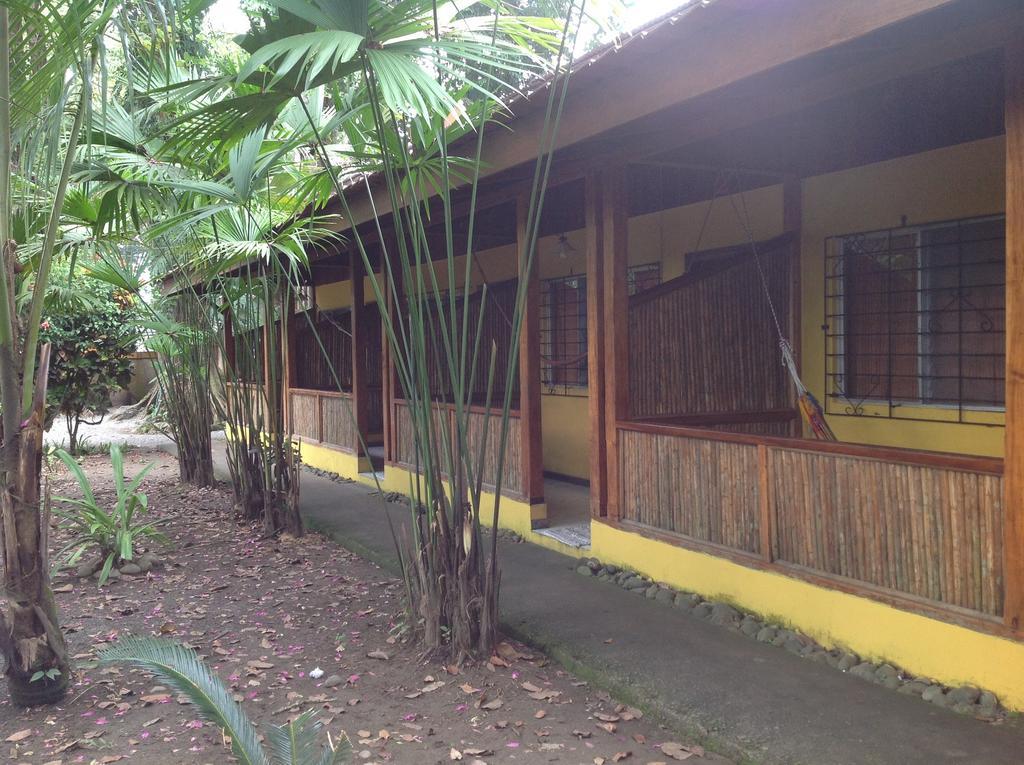 Morpheus Exotica Lodge Puerto Viejo de Talamanca Zewnętrze zdjęcie