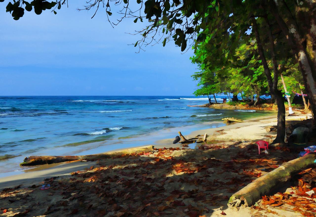 Morpheus Exotica Lodge Puerto Viejo de Talamanca Zewnętrze zdjęcie
