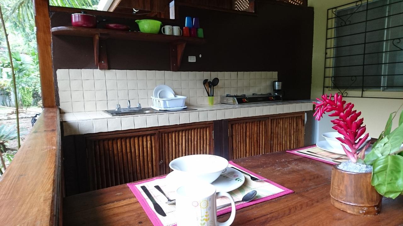 Morpheus Exotica Lodge Puerto Viejo de Talamanca Zewnętrze zdjęcie