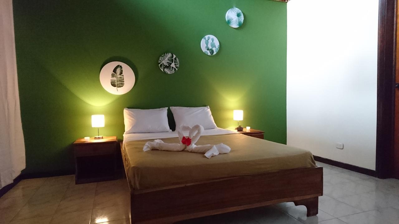 Morpheus Exotica Lodge Puerto Viejo de Talamanca Zewnętrze zdjęcie