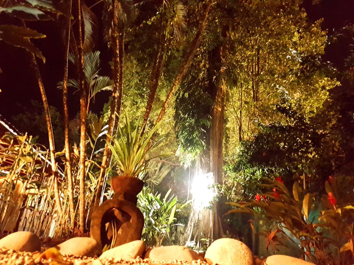 Morpheus Exotica Lodge Puerto Viejo de Talamanca Zewnętrze zdjęcie