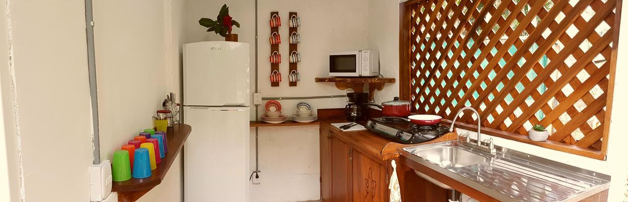 Morpheus Exotica Lodge Puerto Viejo de Talamanca Zewnętrze zdjęcie